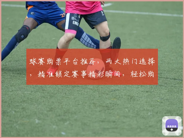 球赛购票平台推荐，两大热门选择，精准锁定赛事精彩瞬间，轻松购买，畅享体育盛宴