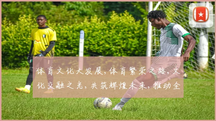 体育文化大发展,体育繁荣之路,文化交融之光,共筑辉煌未来,推动全民健身。