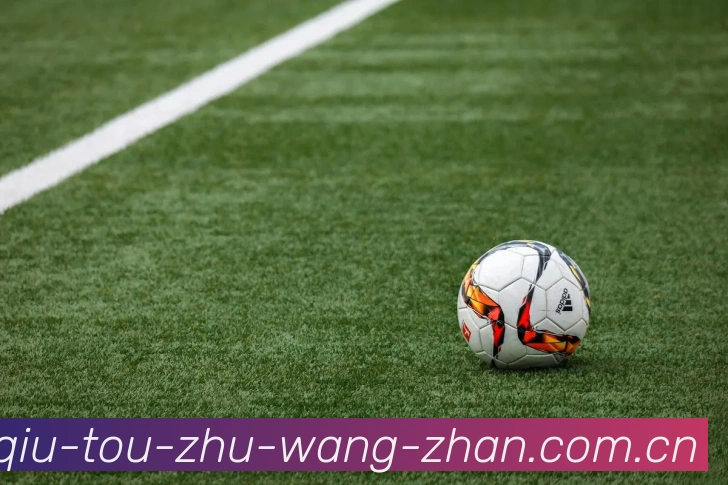 足球投注网站平台生态图