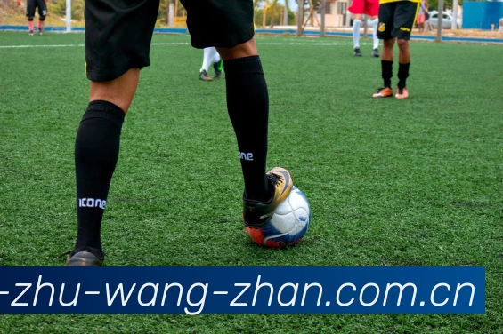 体育直播服务
